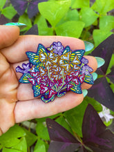 OXALIS TRIANGULARIS PINS