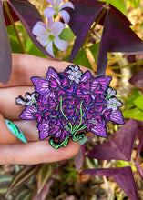 OXALIS TRIANGULARIS PINS