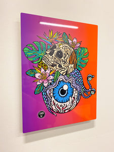 SNAIL EYELAND METAL PRINTS (LE 31)