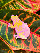 FROGMATE PINS (2023)