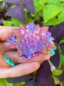 OXALIS TRIANGULARIS PINS
