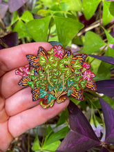 OXALIS TRIANGULARIS PINS